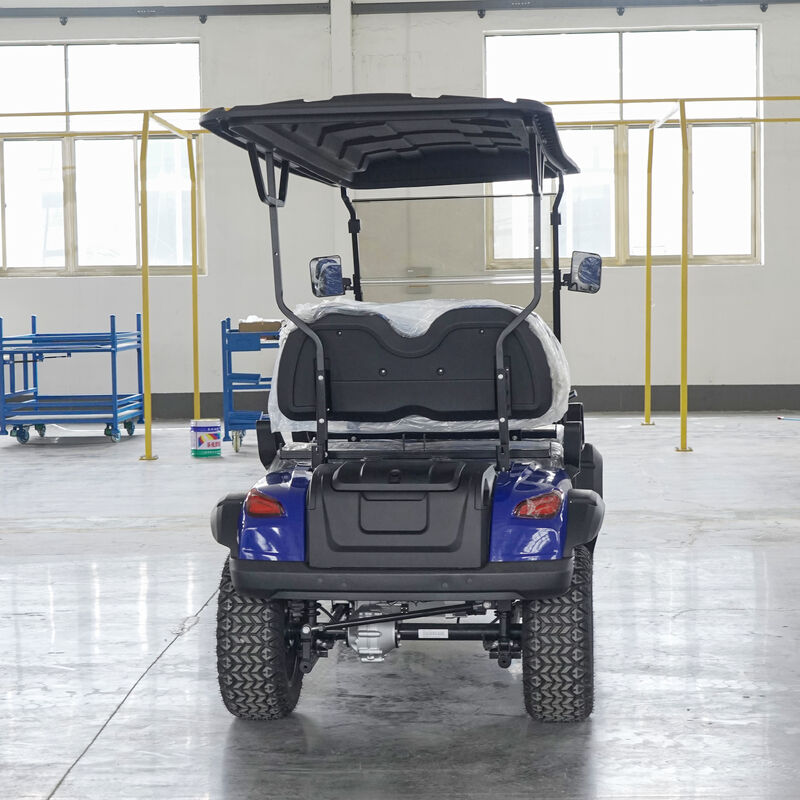 2025 Electric Golf Cart Buggy 2/4/6 Seater OEM Customizable China Factory Direct Sale