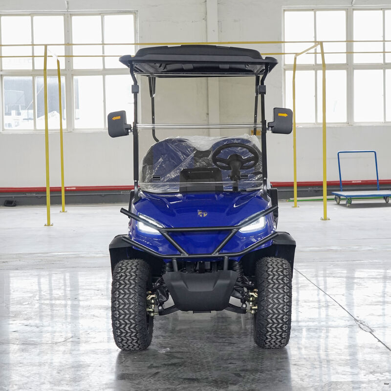 2025 Electric Golf Cart Buggy 2/4/6 Seater OEM Customizable China Factory Direct Sale