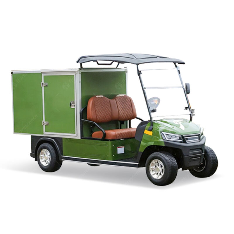 CE Approved 2 Seaters 48V High-Speed Golf Buggy Electric Cart with Cargo Box Closed Truck Housekeeping