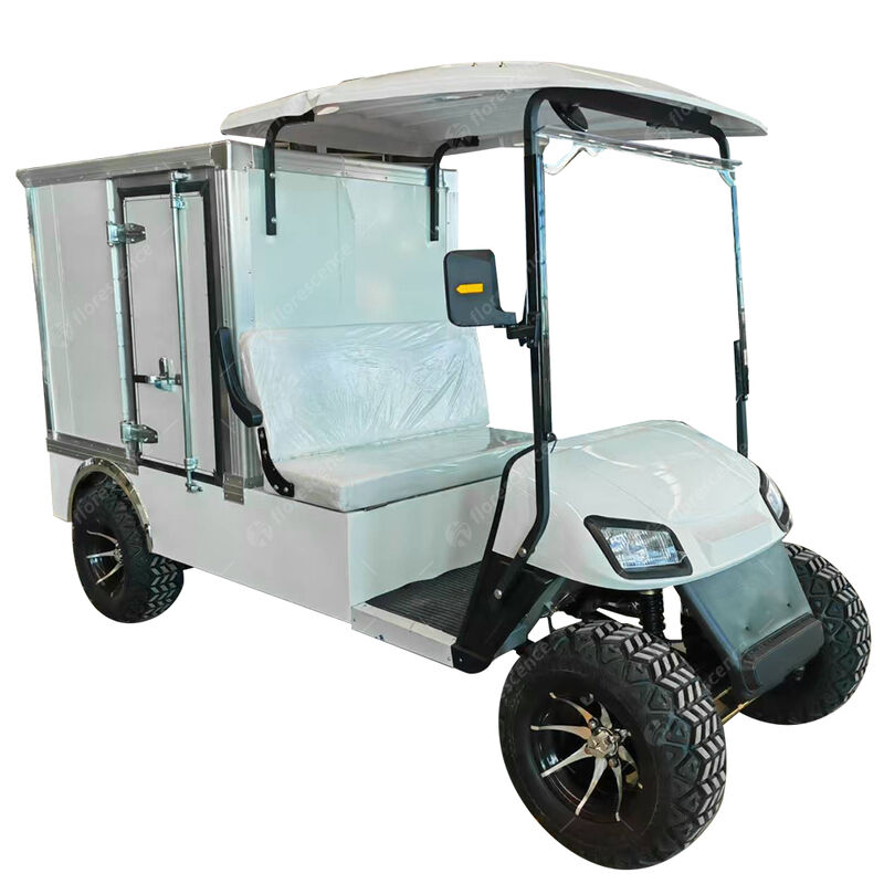 CE Approved 2 Seaters 48V High-Speed Golf Buggy Electric Cart with Cargo Box Closed Truck Housekeeping