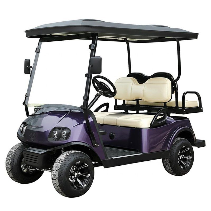 Newly Designed 4 Seater Beach Shuttle LSV (Low Speed Vehicle), Sand-Ready Electric Golf Cart for Coastal Resort Tours