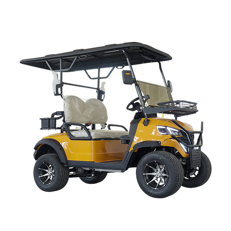 Street Legal Electric Lithium Battery 5kw Custom Color 2 Seater Golf Carts
