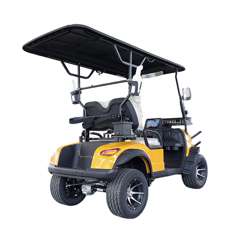 Street Legal Electric Lithium Battery 5kw Custom Color 2 Seater Golf Carts