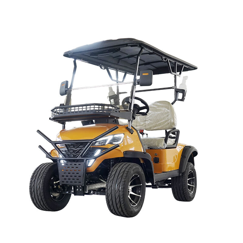 Street Legal Electric Lithium Battery 5kw Custom Color 2 Seater Golf Carts