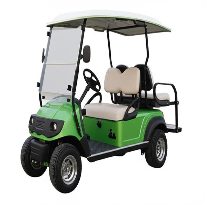 Street Legal Electric Lithium Battery 5kw Custom Color 2 Seater Golf Carts