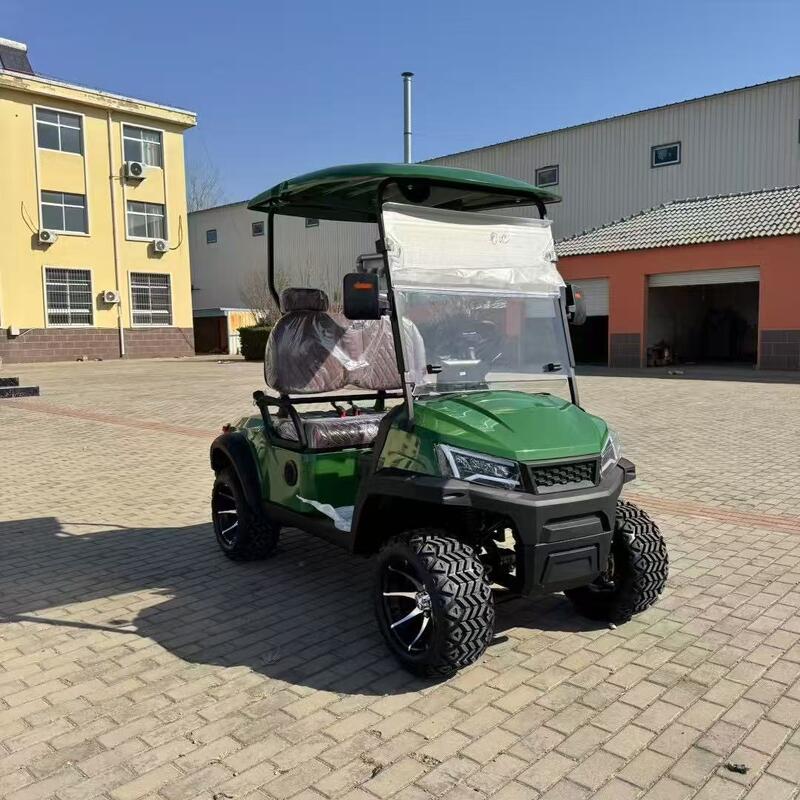 Luxury Mini Electric Golf Carts Buggy Car Off Road Street Legal Small Golf Cart 2 Seater