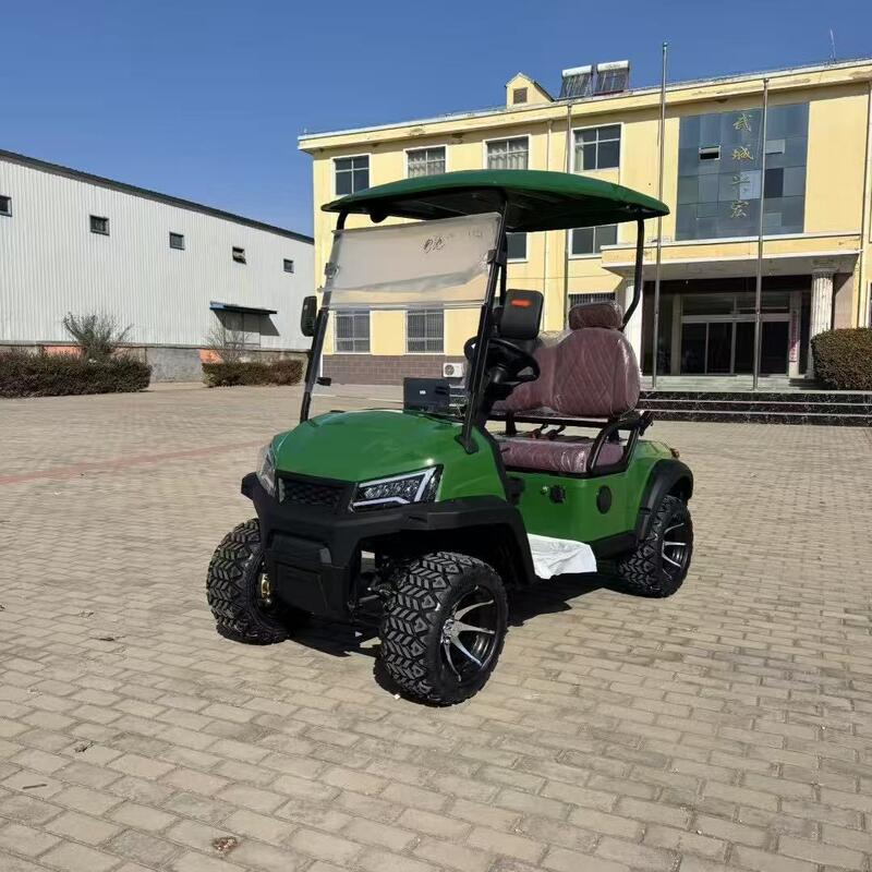 Luxury Mini Electric Golf Carts Buggy Car Off Road Street Legal Small Golf Cart 2 Seater
