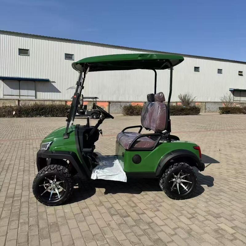 Luxury Mini Electric Golf Carts Buggy Car Off Road Street Legal Small Golf Cart 2 Seater