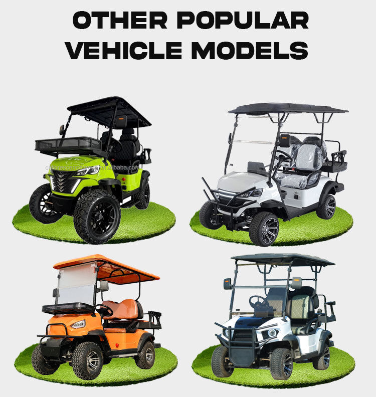 Luxury Mini Electric Golf Carts Buggy Car Off Road Street Legal Small Golf Cart 2 Seater