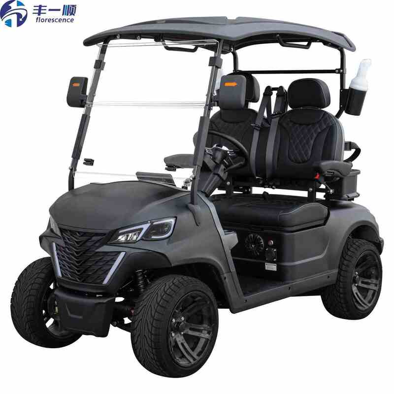 2 Seater Electric Golf Cart 48V Street Legal 5kw Motor With long Mile Range