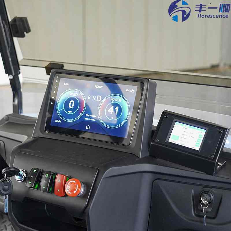 Hot Sell Low Speed New Energy 2 Seater Golf Cart with 48V 150Ah Lithium Battery