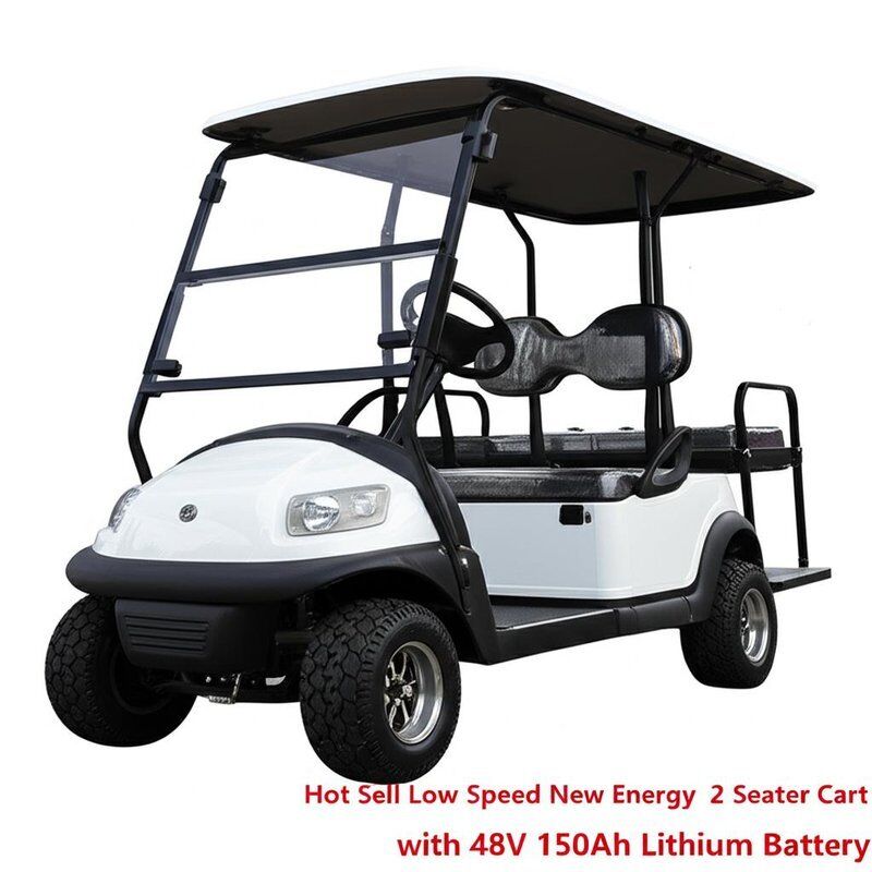 Hot Sell Low Speed New Energy 2 Seater Golf Cart with 48V 150Ah Lithium Battery