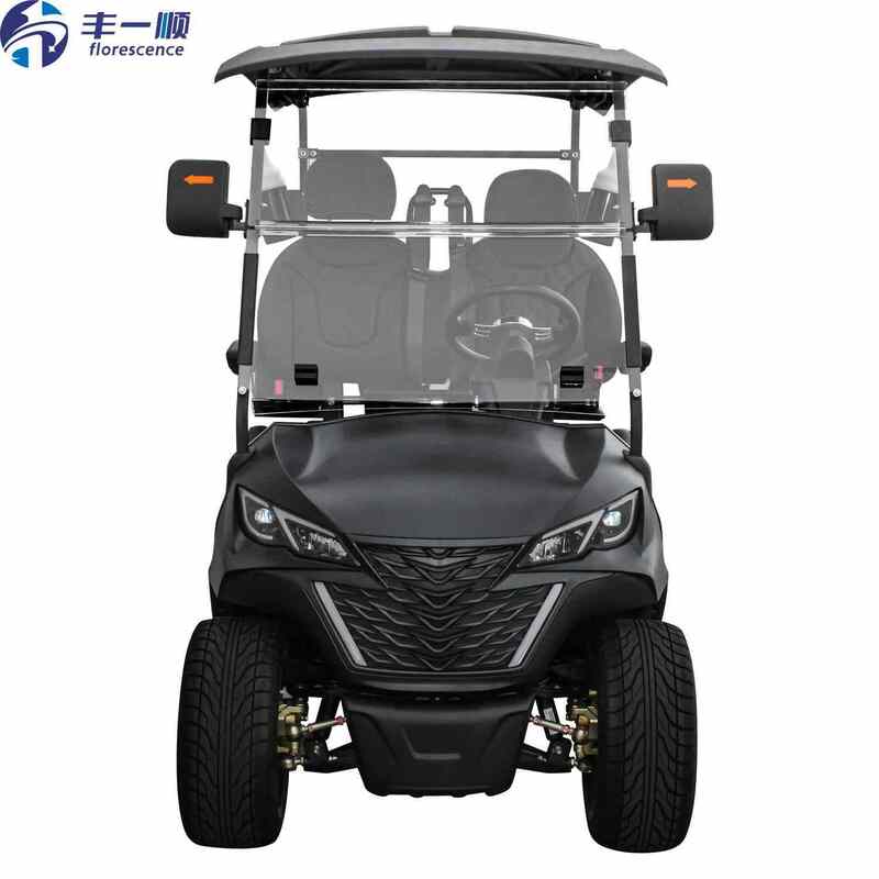 2 Seater Electric Golf Cart 48V Street Legal 5kw Motor With Long Mile Range