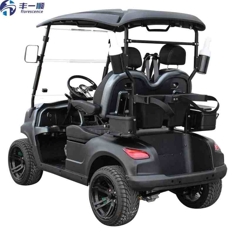 2 Seater Electric Golf Cart 48V Street Legal 5kw Motor With Long Mile Range