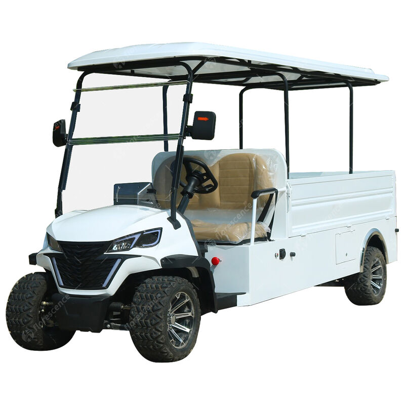 Multi-Purpose Electric Golf Cart Buggy with 4-Wheel Drive 48V Truck Bed Cargo Box for Golf Course Work