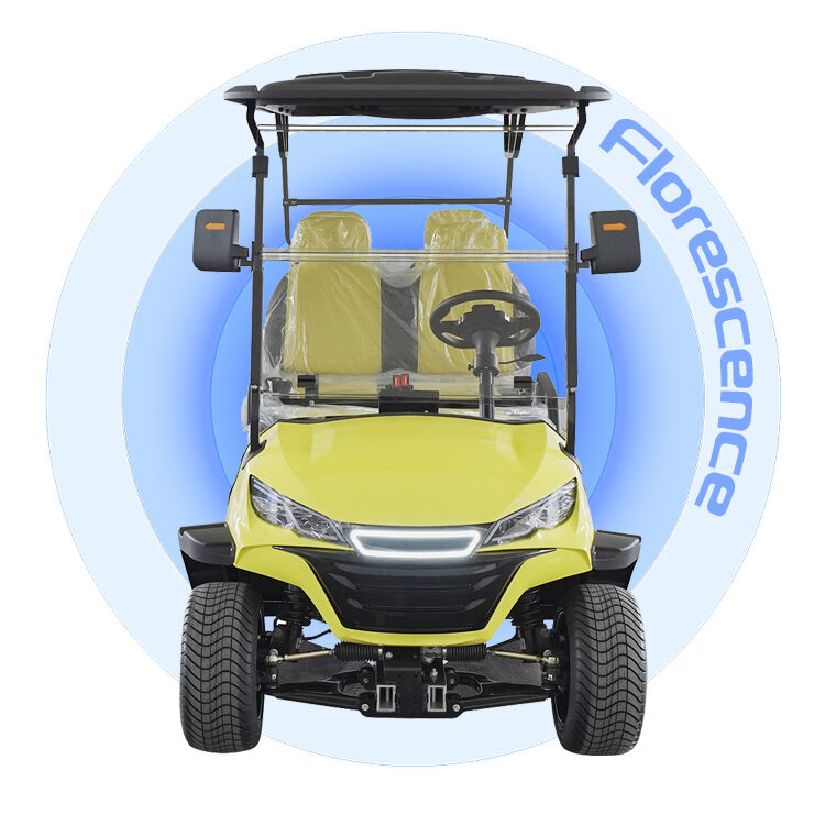 China Custom off Road Golf Cart Buggy Car 60V Lithium Street Legal 4 Seater Electric Golf Carts