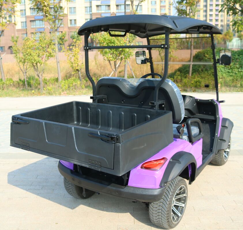 EV Golf Cart Electric 2 Seater with 48V Battery System Lead Acid or Lithium Options Durable Steel Frame and Comfortable Seating