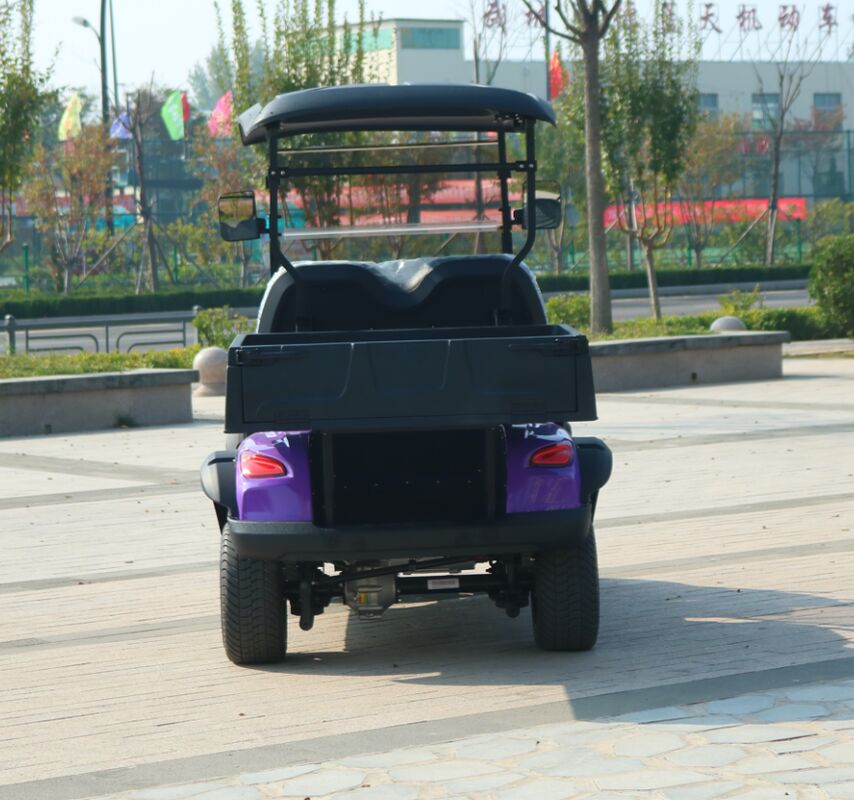 EV Golf Cart Electric 2 Seater with 48V Battery System Lead Acid or Lithium Options Durable Steel Frame and Comfortable Seating