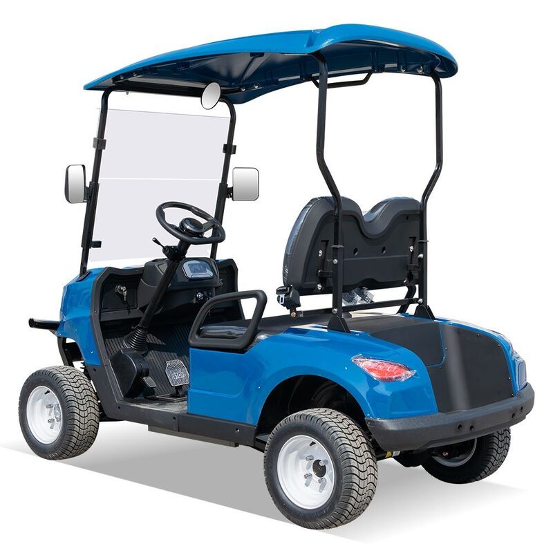  Second Hand 2 Seats Electric Cheap Low Speed Utility Golf Carts for Sale