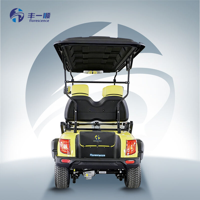 Street Legal Electric Off-Road Utility Lead-Acid Battery 4 Seater Golf Buggy Cart with CE Certificate