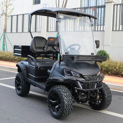Cargo Golf Cart Manufacturer 2 Person Golf Cart 48 Volt Club Car Utility Vehicles