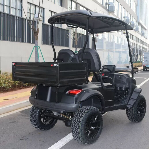 Cargo Golf Cart Manufacturer 2 Person Golf Cart 48 Volt Club Car Utility Vehicles