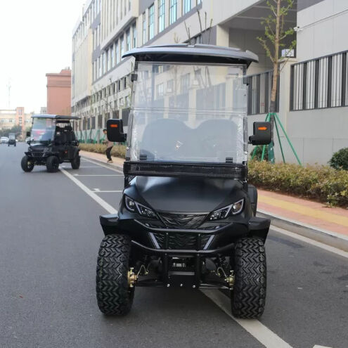 Cargo Golf Cart Manufacturer 2 Person Golf Cart 48 Volt Club Car Utility Vehicles