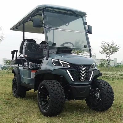 CUSTOMIZED FREE ELECTRIC GOLF CARTS SHIPPING FRONT LIGHT 4 WHEEL 4 SEATERS