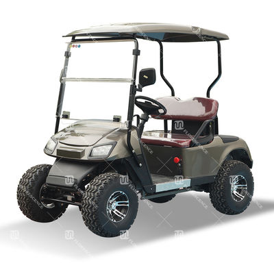 Electric Golf Cart 2-seater 3.5kw 60V Stroller Buggy Unequipped For Caddy Brake Drum