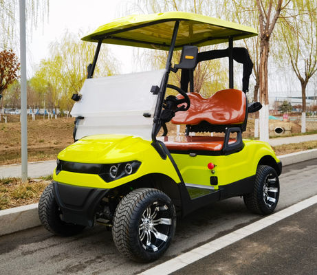 10 Inch Tire Optional Lithium Battery Electric Golf  Cart 4KW Motor Customized