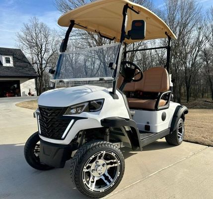 নতুন ডিজাইন করা ২ সিট ইলেকট্রিক গল্ফ কার্ট ৪ কেডব্লিউ চার চাকার টেকসই ইলেকট্রিক গল্ফ বগি