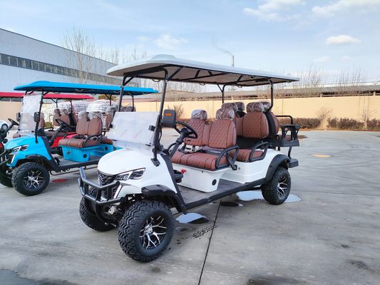 6 Passenger Off-road Buggy Automatic Lightweight Electric Golf Cart Customized