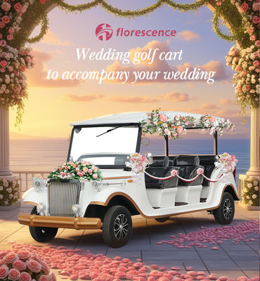 White Wedding Classic Car 4kw Motor 100km Endurance CE Certification