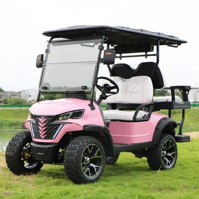 Electric Golf Cart With Canopy 60v 100ah Lead Acid Battery Front Bumper And Radio