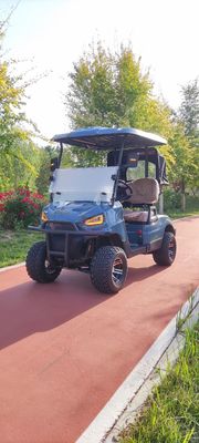 Eco-Friendly Golf Buggy With Lithium-Ion Battery Long Range Low Maintenance Cost