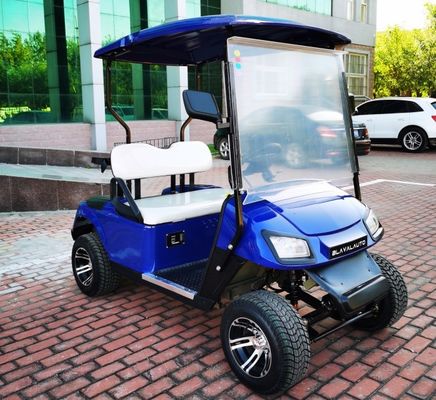 Export EV 2 Seater Golf Cart 48V 3.5KW AC System Good Quality Golf Trolley