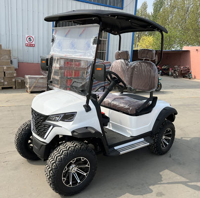 2 Seater Electric Golf Cart Optional Lithium Battery Mini Durable Electric Golf  Buggy