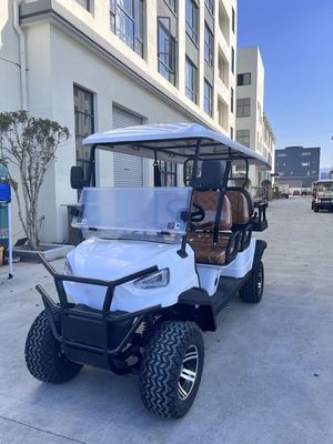 Electric New  Power Steering Golf Truck Cheap Price Evolution Small Golf Cart Fast