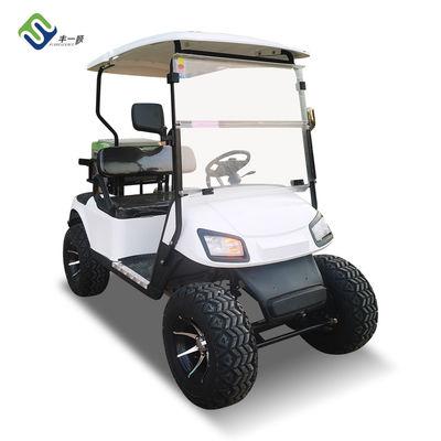 Two-Seater Classic New Energy Lithium Battery Electric Golf Cart With Customizable Color And LOGO