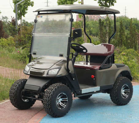 2 Seater Golf Cart Utility Vehicle 30km/h Automatic Lightweight Battery Operated Electric Golf  Buggy