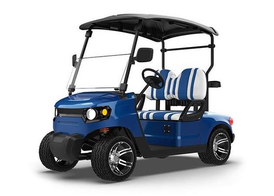 New Energy Blue Golf Cart 2 Person 48 Volt Electric Club Car Manufacturer