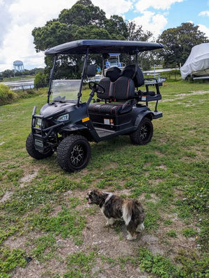 ৪ সিট কাস্টমাইজড ইলেকট্রিক গল্ফ কার্ট ৪ জন যাত্রী অফ রোড গল্ফ বগি