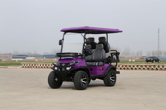2 + 2 places de luxe Green Electric Golf Carts 14 pouces pneus tout-terrain adapté à diverses scènes telles que les montagnes et les plages