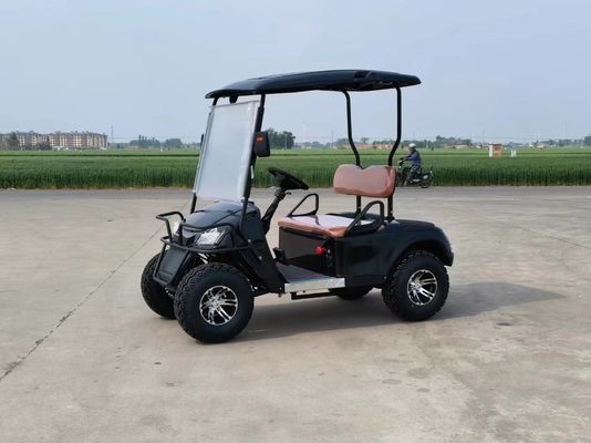 Two Seater Black Classic New Energy Lithium Battery Electric Golf Cart Customizable Color And LOGO