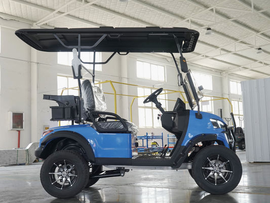 Customized Colors 2 Seater Golf Cart with LCD Instrument and Scorecard Holder