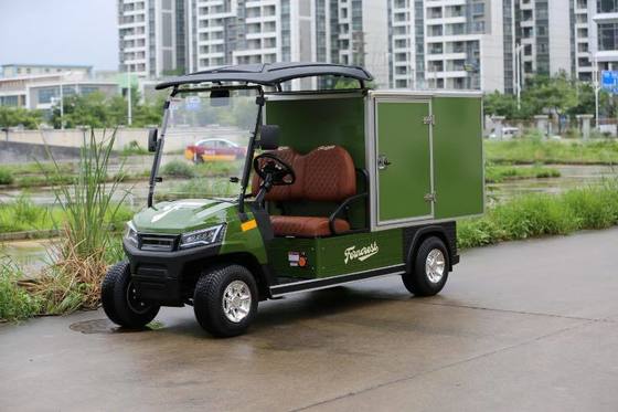 সবুজ রঙ বড় ধারণক্ষমতা 2 সিটার কাস্টম গল্ফ কার্গো পণ্য ও খাদ্য পরিবহন করতে পারে