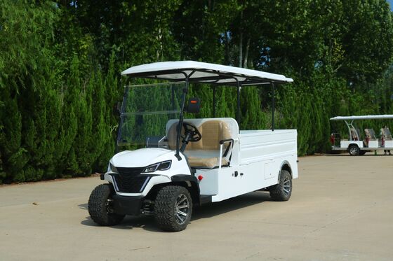 লিথিয়াম ব্যাটারি সিই সার্টিফিকেশন সহ সাদা 2 সিট কার্গো গল্ফ কার্ট