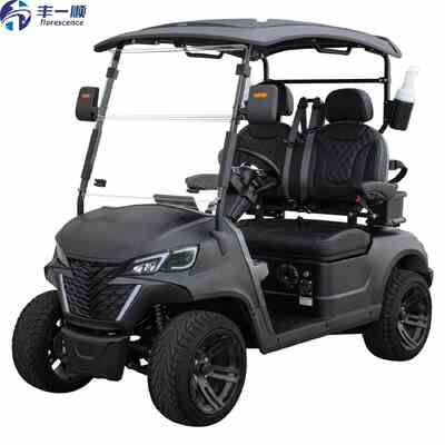 2 Seater Electric Golf Cart 48V Street Legal 5kw Motor With Long Mile Range