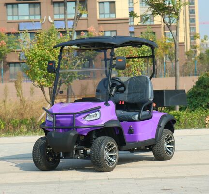 EV Golf Cart Electric 2 Seater with 48V Battery System Lead Acid or Lithium Options Durable Steel Frame and Comfortable Seating