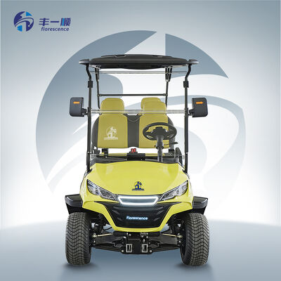 Street Legal Electric Off-Road Utility Lead-Acid Battery 4 Seater Golf Buggy Cart with CE Certificate